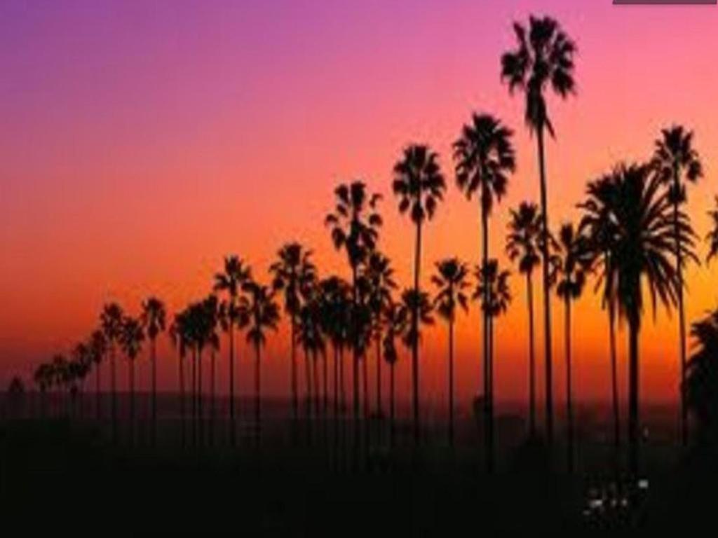 Venice Beach Apartments Monthly Rents Los Angeles Exterior photo